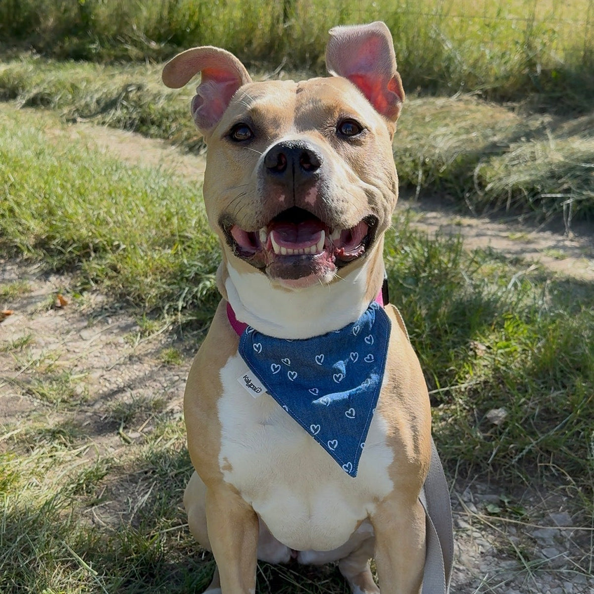 Bandana en jean avec cœurs