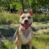 Bandana Léopard Rose